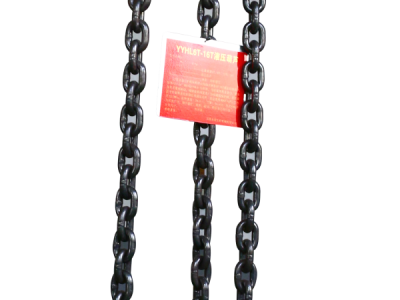 YYHL6T-16TҺѹ��«